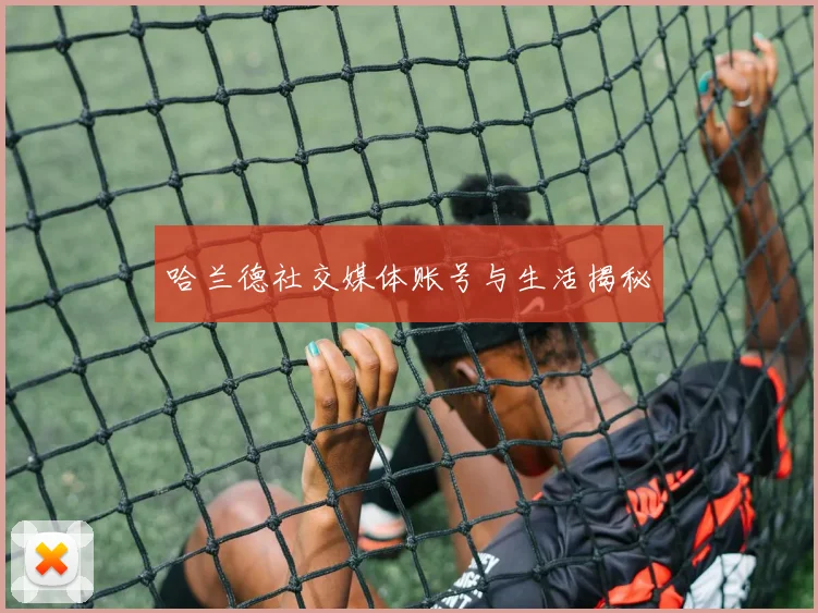 哈兰德社交媒体账号与生活揭秘